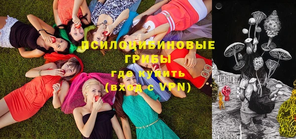 Альфа ПВП Алзамай