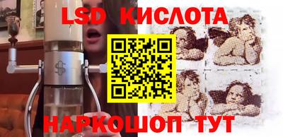 тгк Бердск