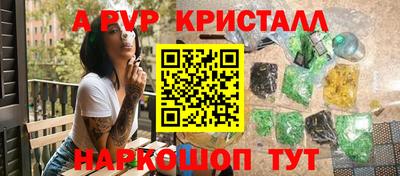 тгк Бердск