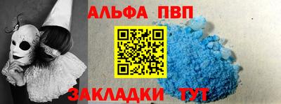 тгк Бердск