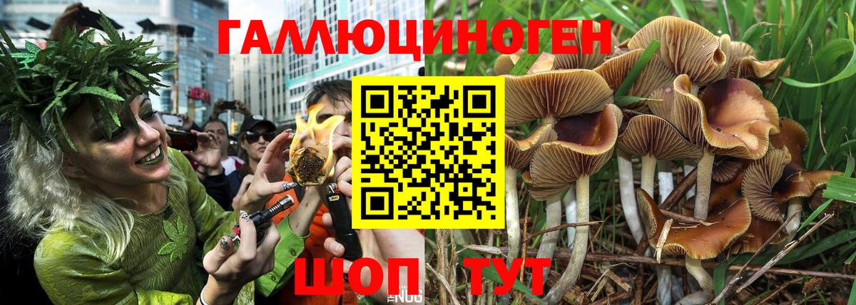 Грязи  Псилоцибиновые грибы прущие грибы  Вход с VPN  Псилоцибиновые грибы GOLDEN TEACHER 